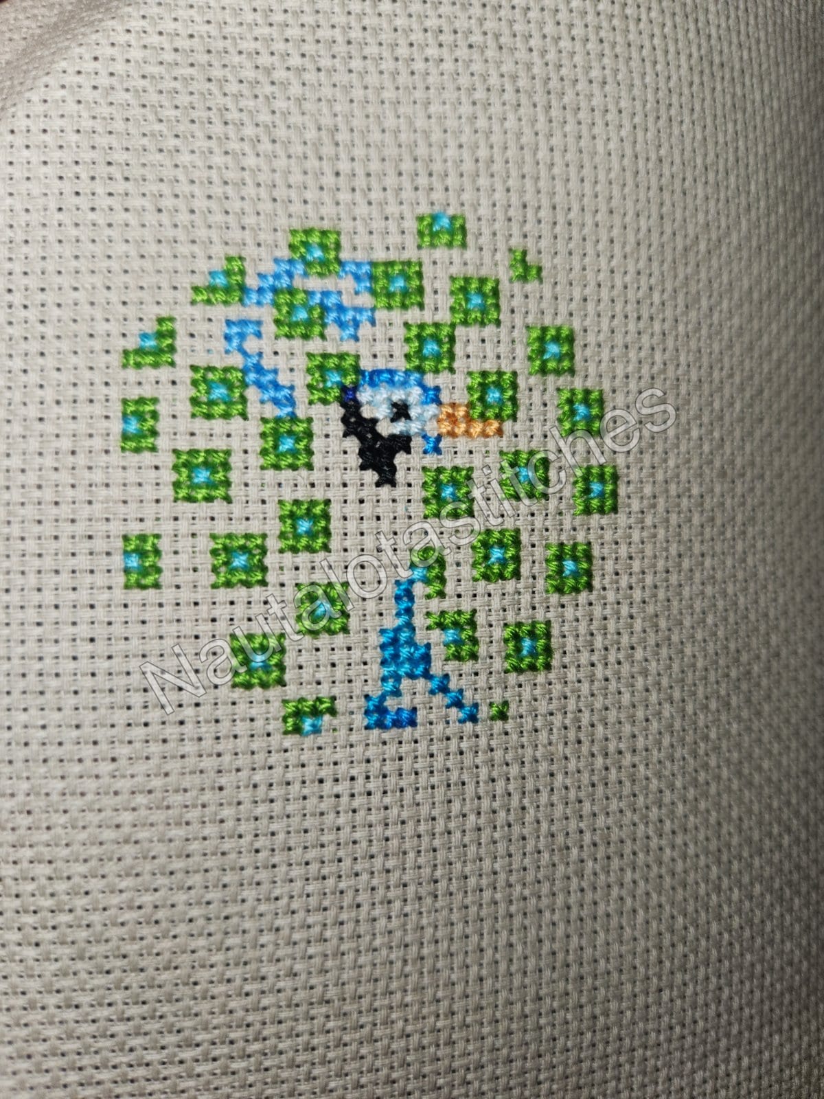 Peacock