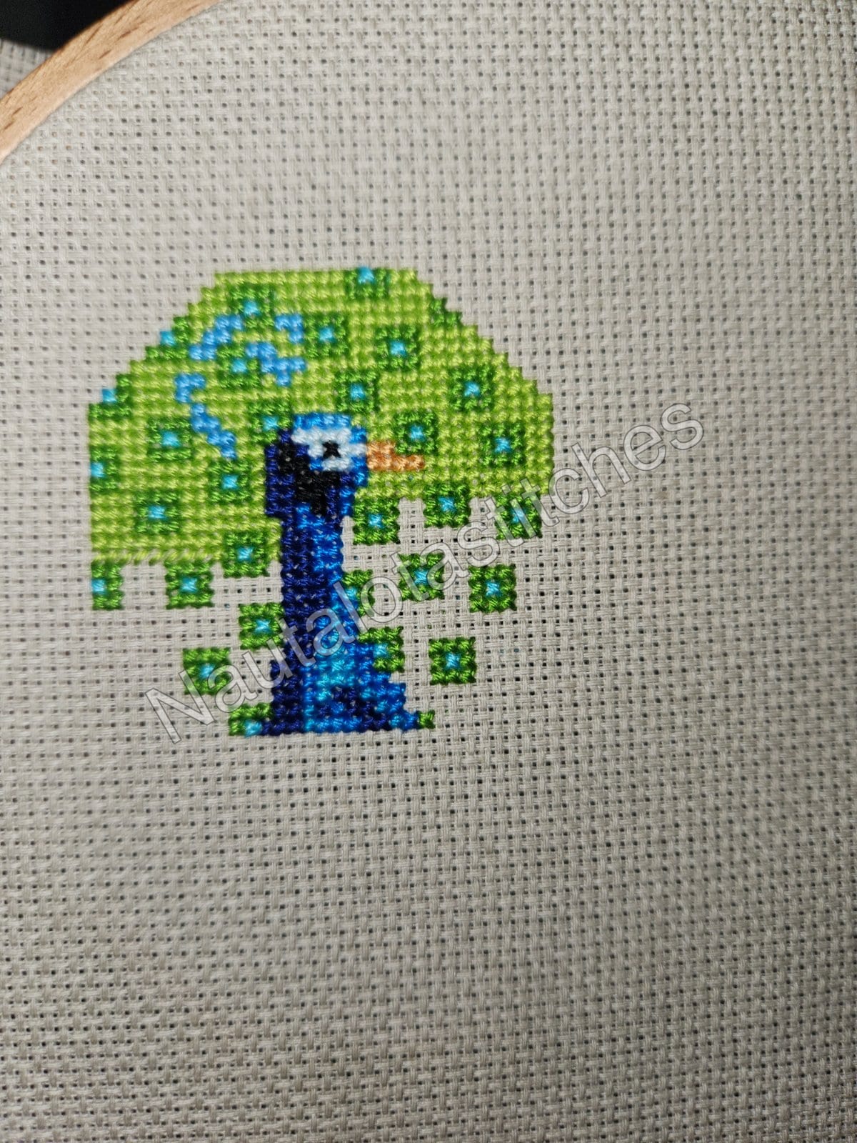 Peacock