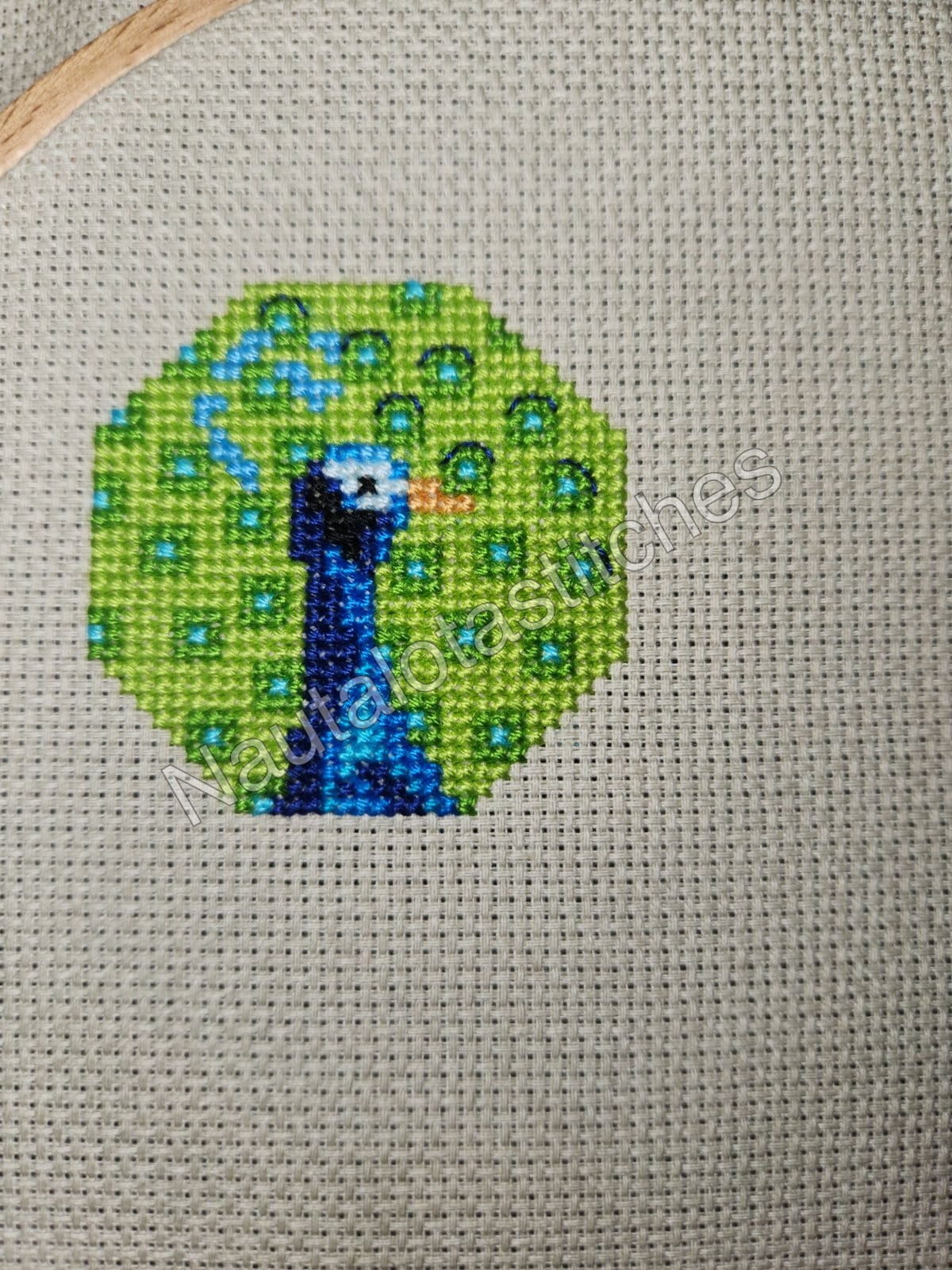 Peacock