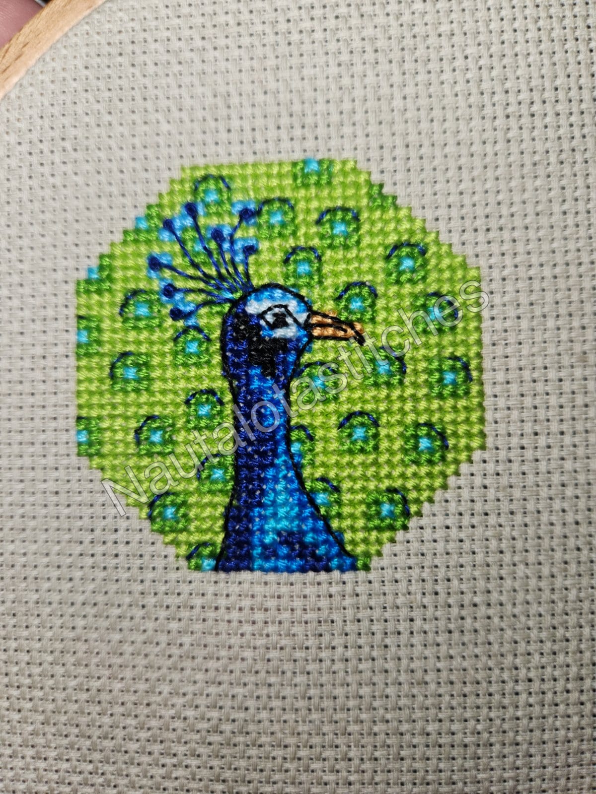 Peacock