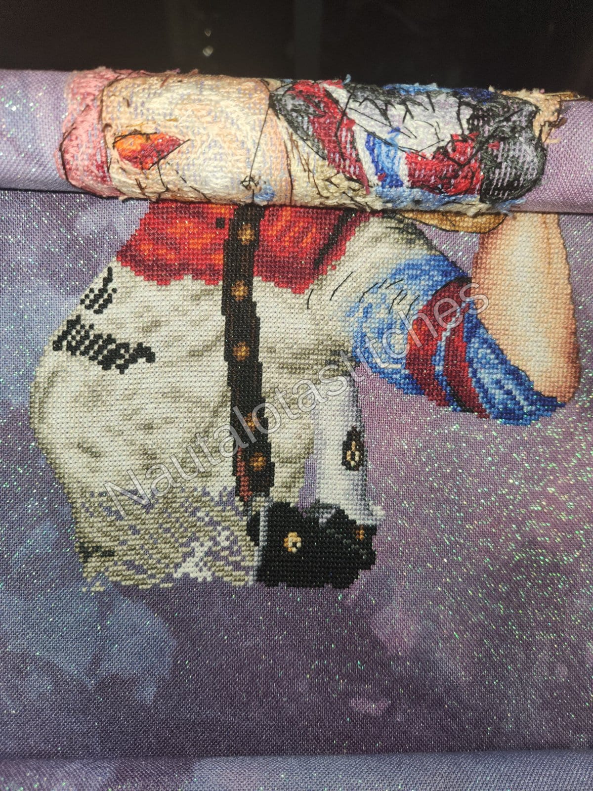 Harley Quinn