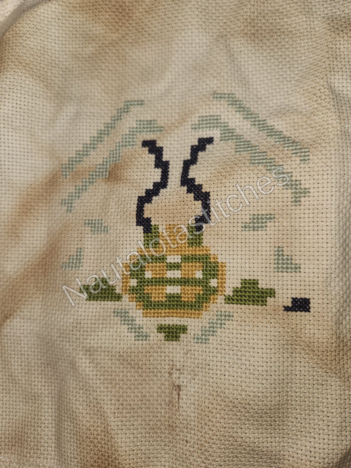 Daimyo Hermitaur