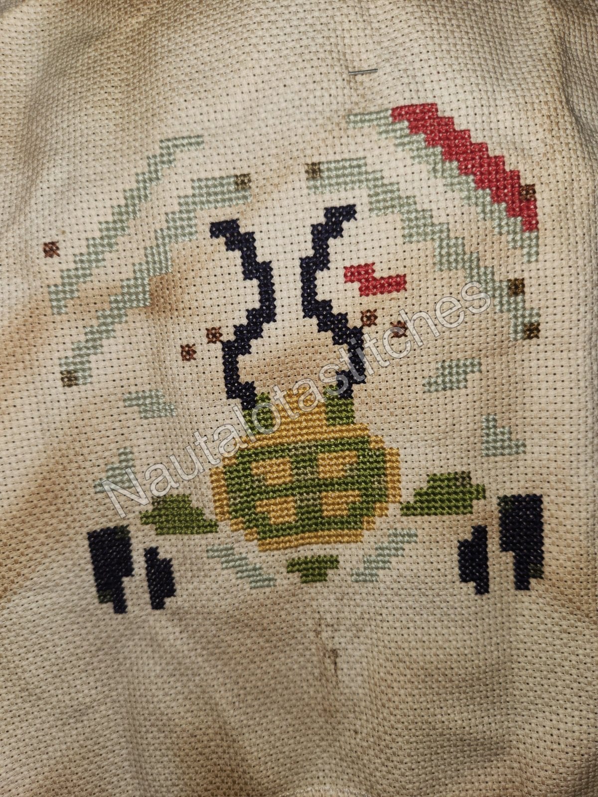 Daimyo Hermitaur