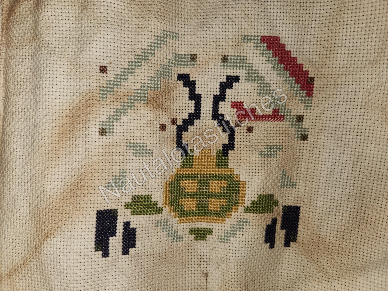 Daimyo Hermitaur