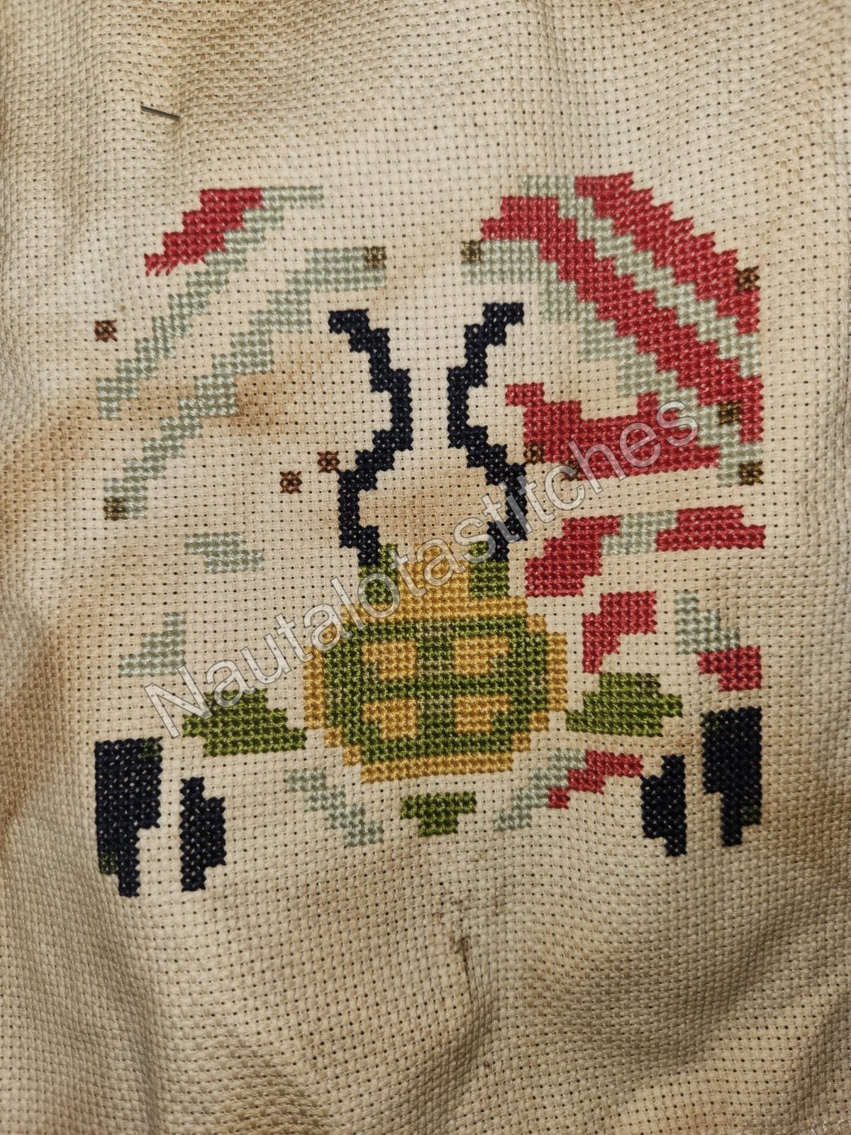 Daimyo Hermitaur