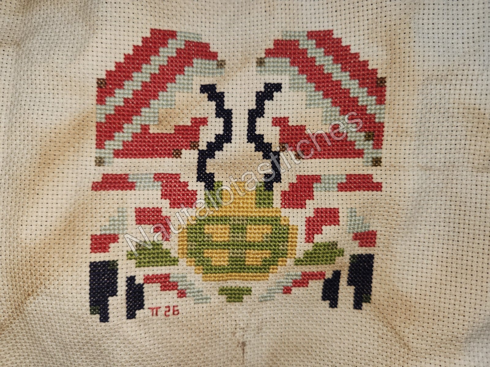 Daimyo Hermitaur