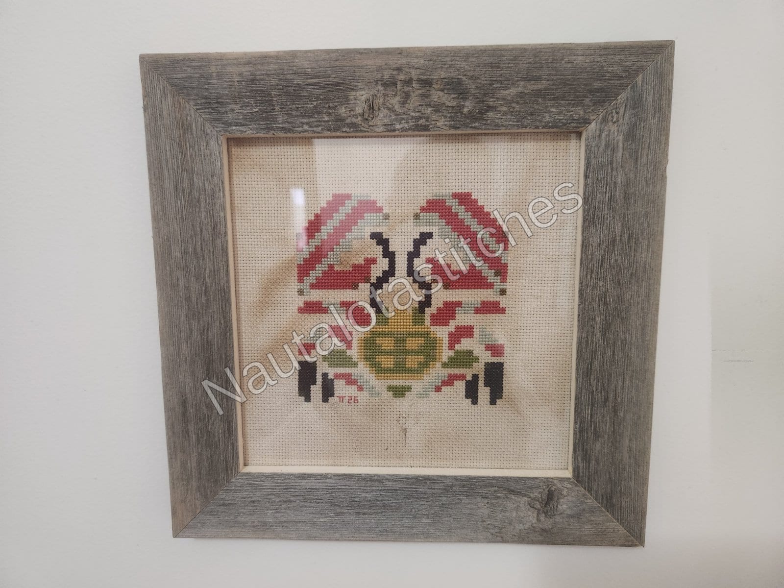 Daimyo Hermitaur