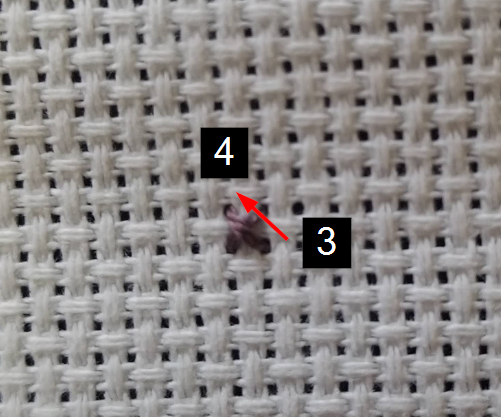 Completed X with the thread tail secured by the second half stitch